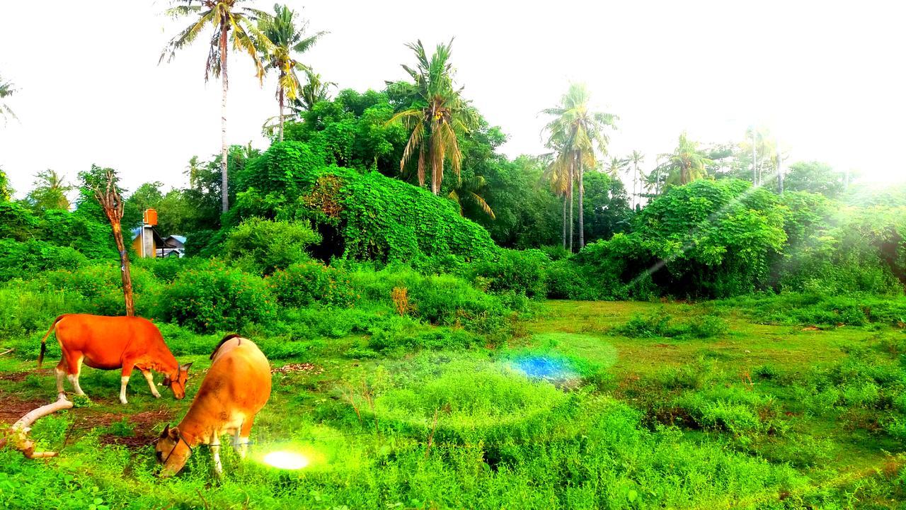 Ofal Lumbung Gili Air Esterno foto